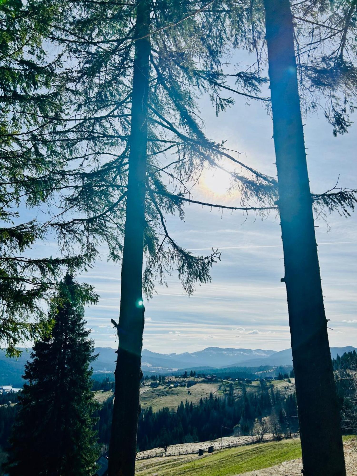 Tiarra Mountain Lodge Beliş Екстериор снимка